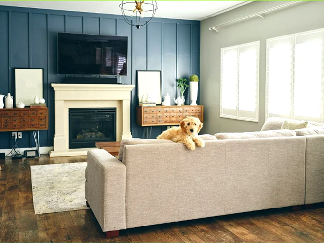 PIR Motion Detector with Pet Immunity