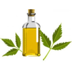 तरल नीम का तेल