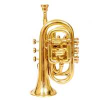 Brass Polish Musical Pocket - Polished Brass, Pocket Size, Manual Sound Reproduction, Anti-tarnish Coating, Vintage Design