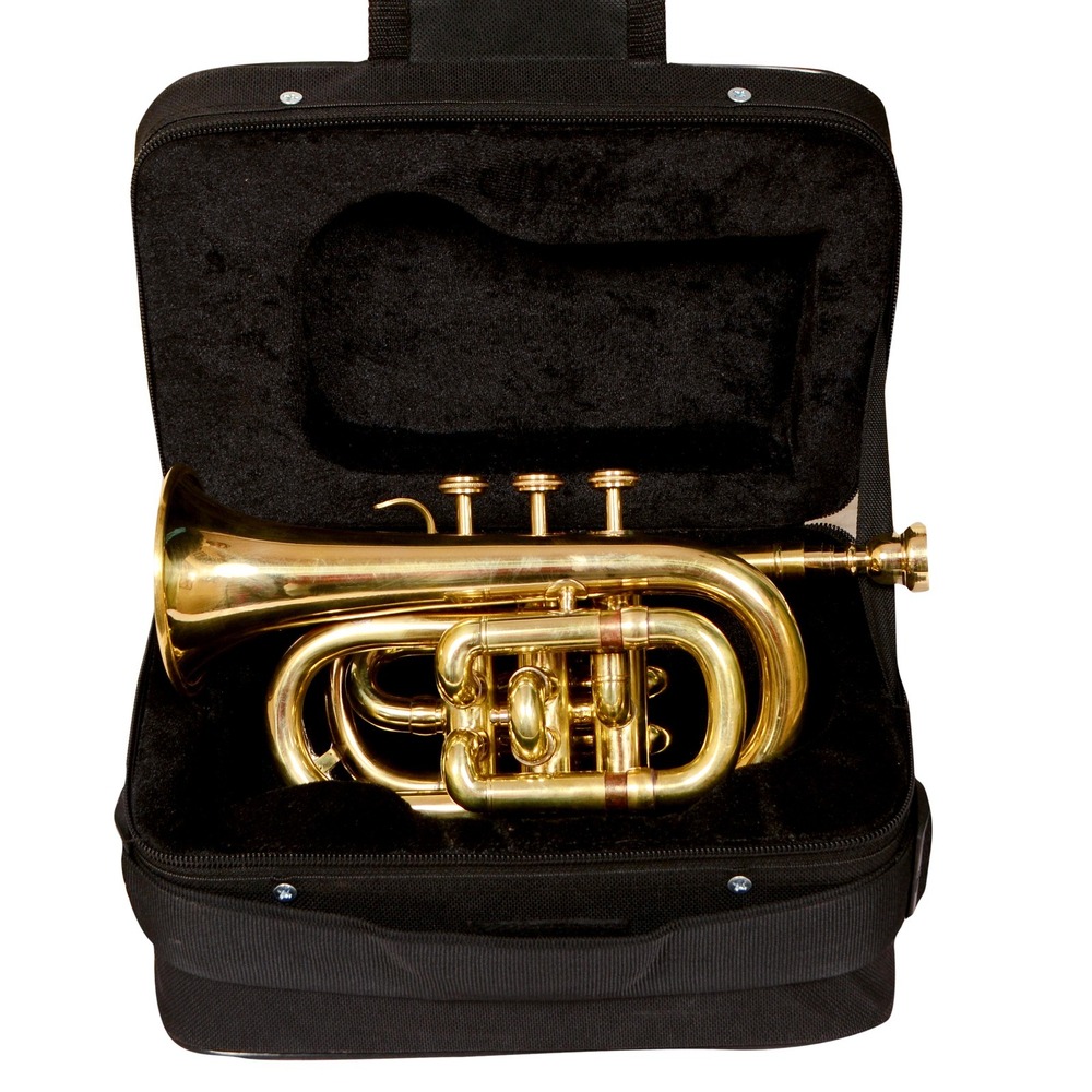 Brass Polish Musical Pocket