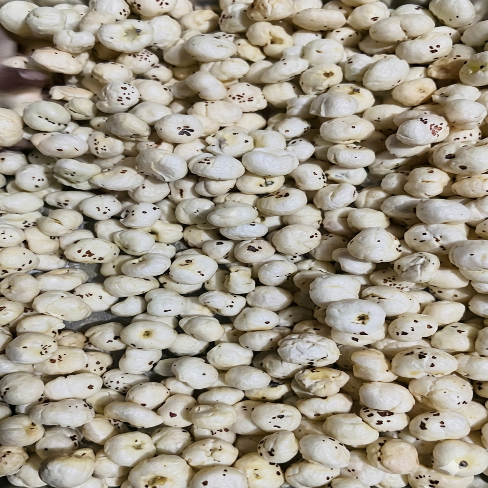 5 Suta Makhana