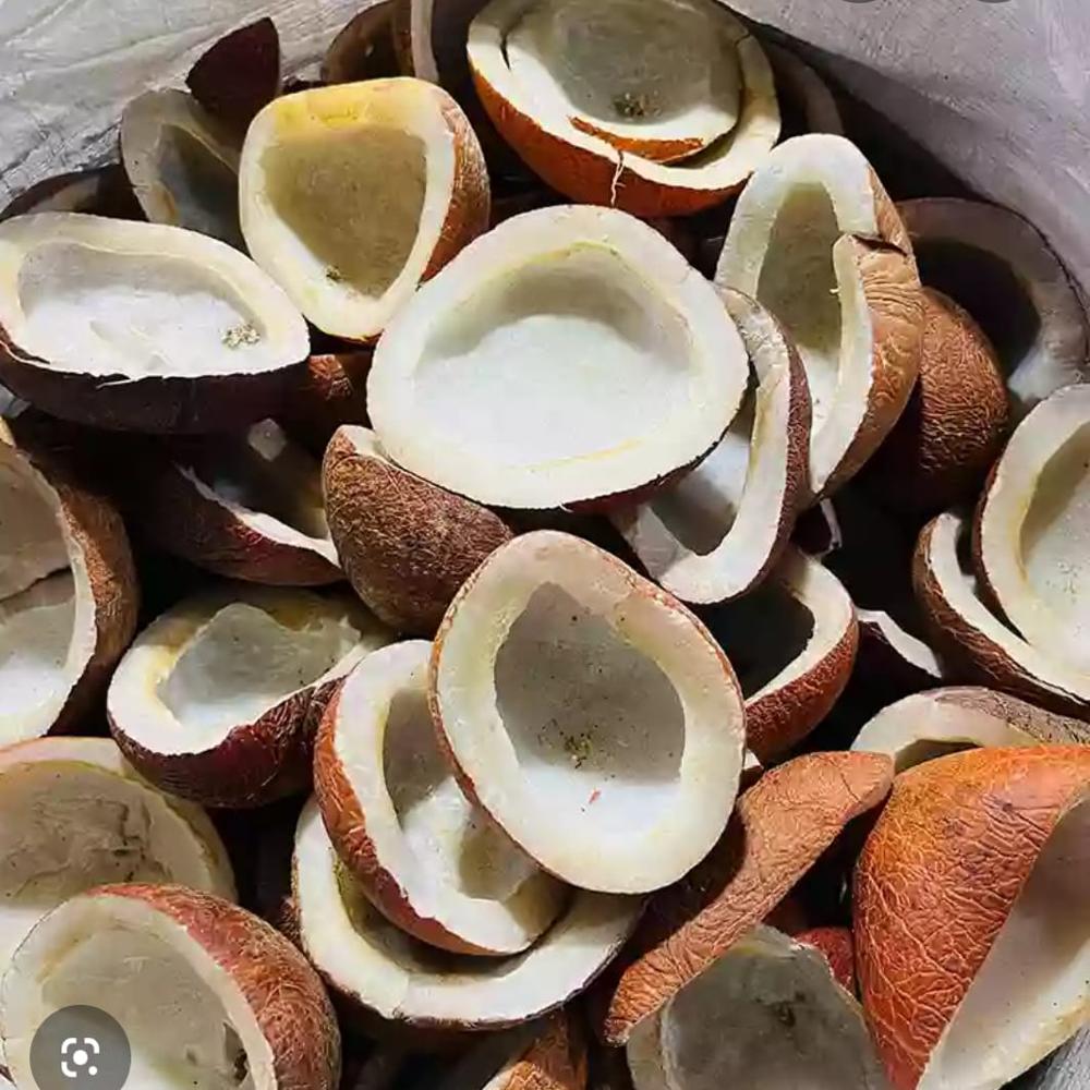 Copra (Dried Coconut Kernel)