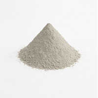 Low Cement Castables (accmon Series)
