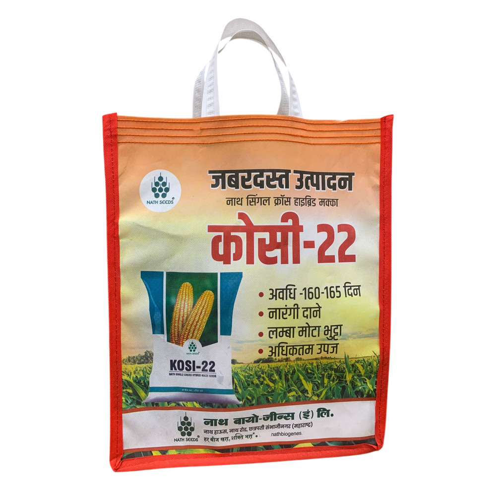 Promotional Non Woven Print Bag