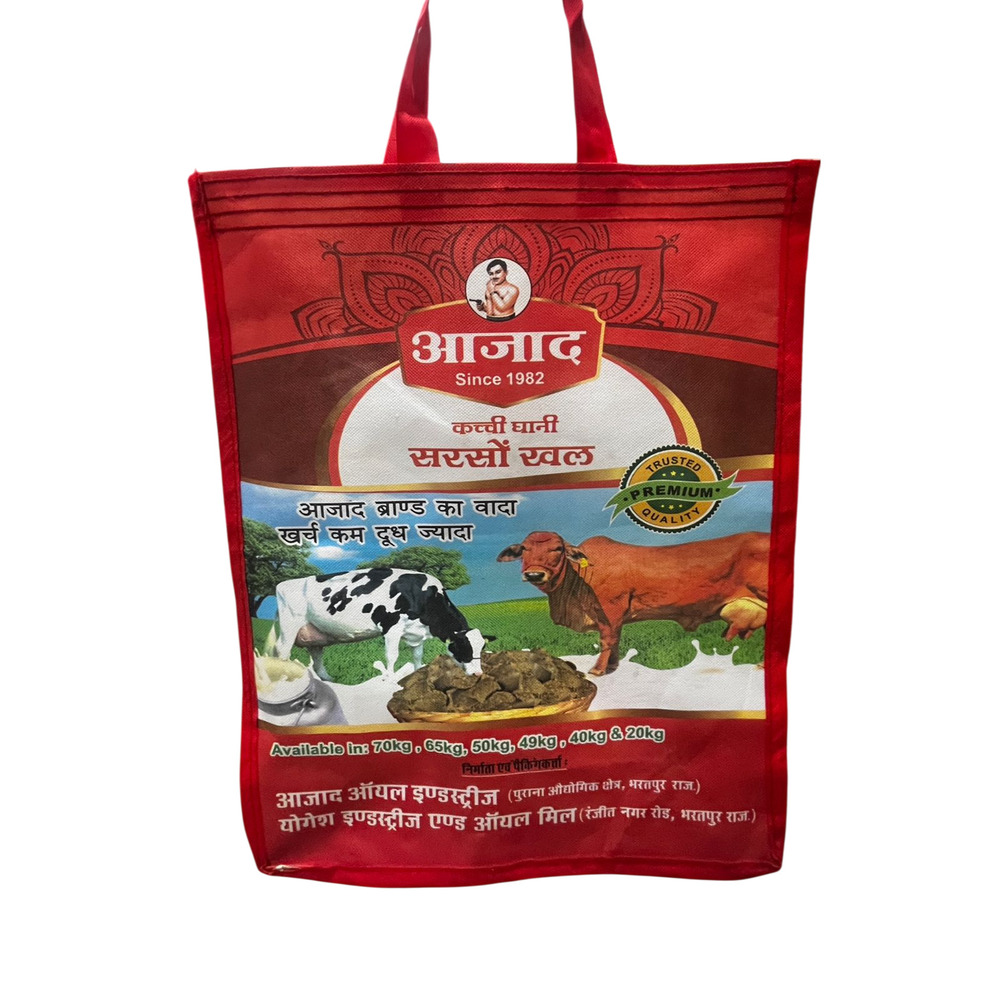 Lightweight Non Woven Bag