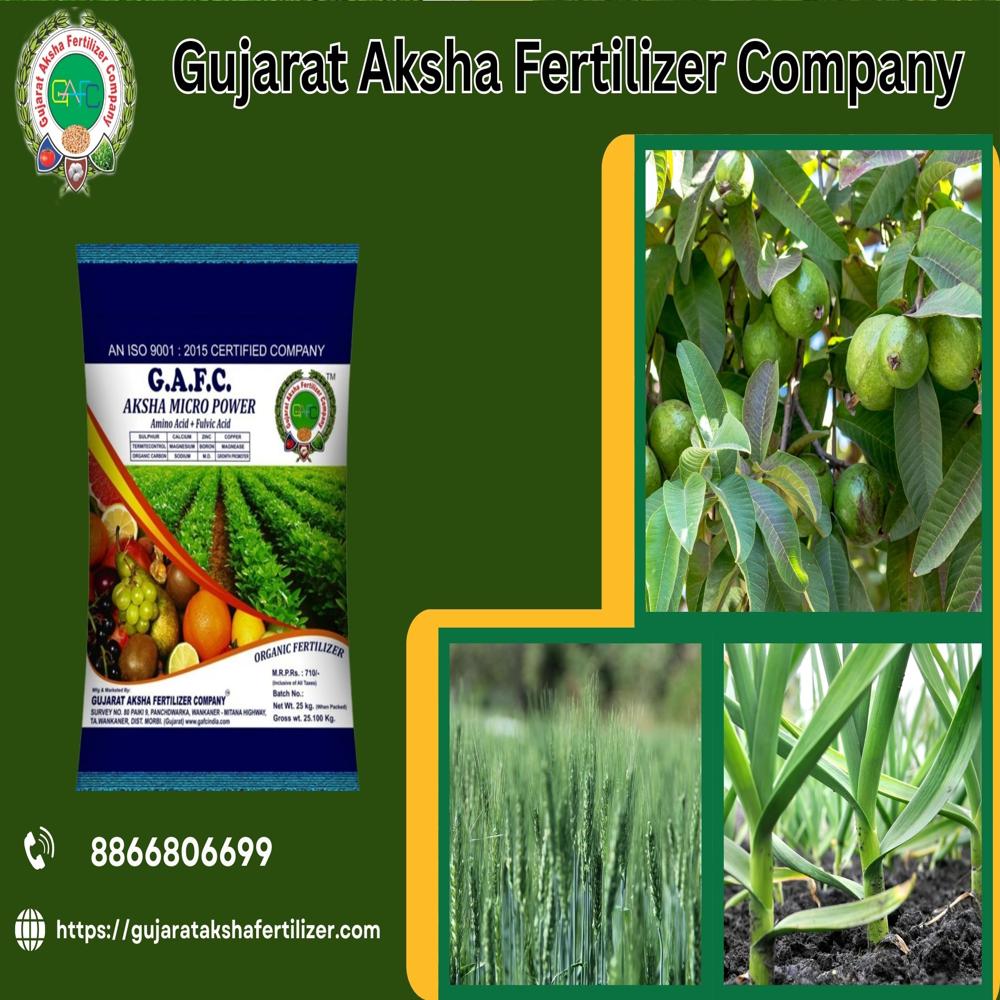 Organic Fertilizer - Purity(%): 99%