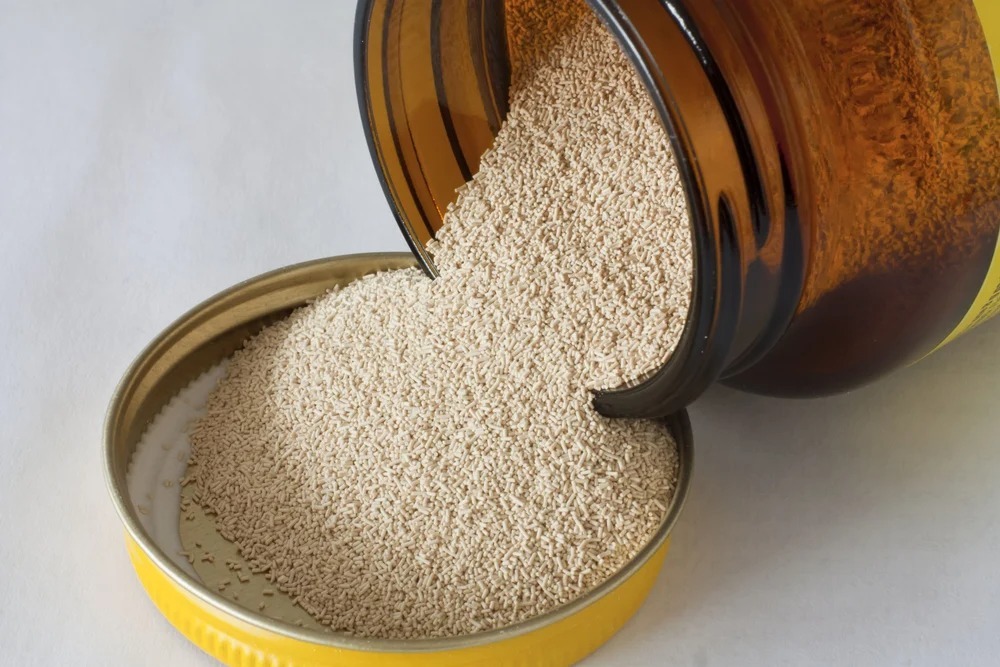 Active Dry Yeast For Grain - Additives: Nil