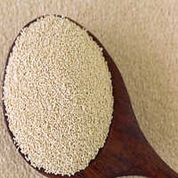 Active Dry Yeast For Molasses - Additives: Nil