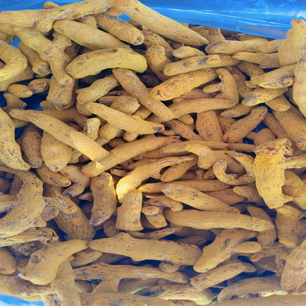 Erode Variety Turmeric - Color: Yellow