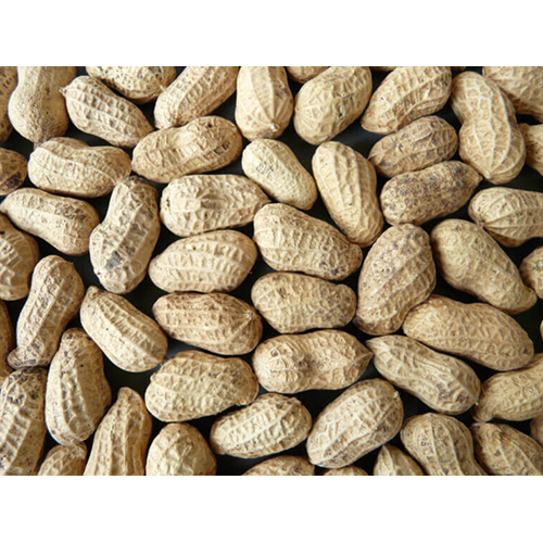 Ground Nut