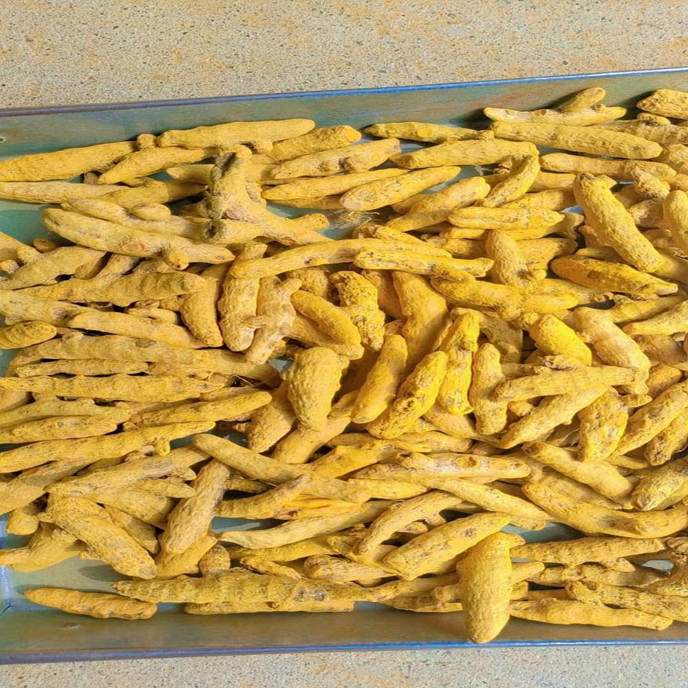 Turmeric Powder - Color: Yellow