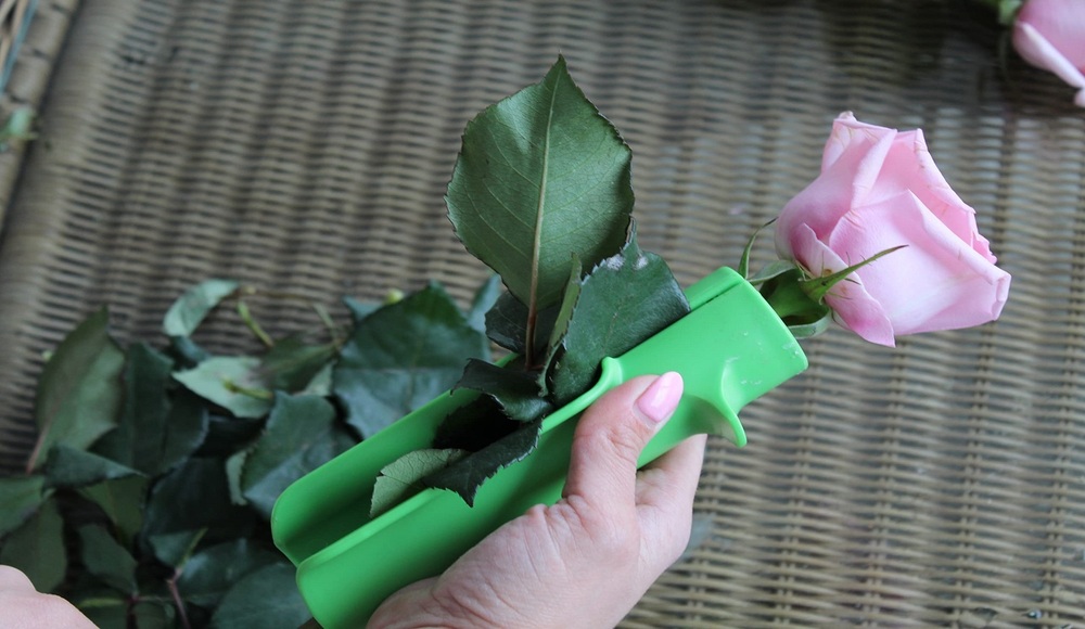 Rose Thorn Remover