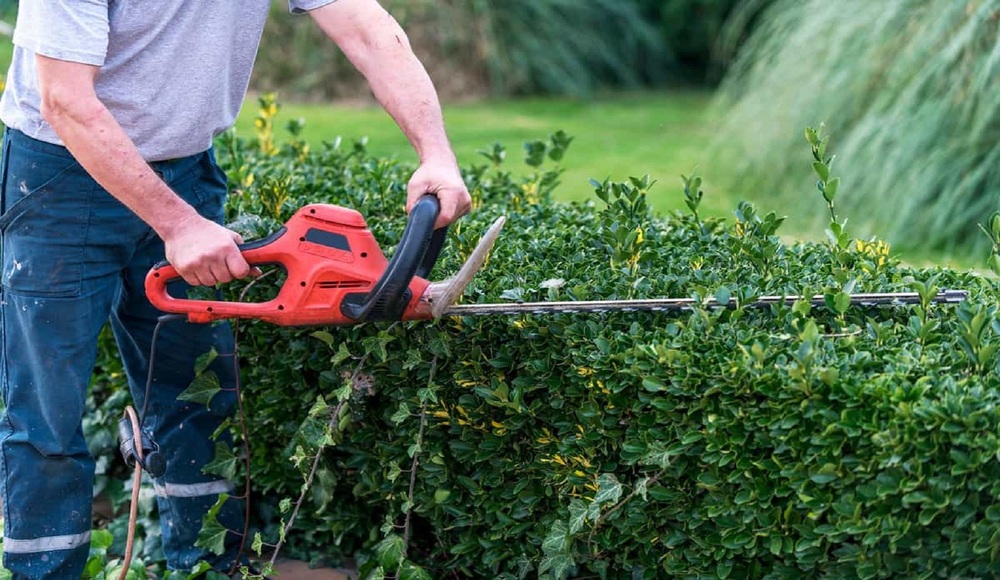 Hedge Trimmer And Chain Saw