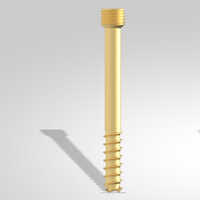 2.4mm Herbert Screw
