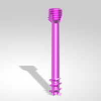 3.0mm Herbert Screw