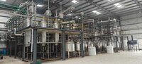 Curcumin Extract 95% Extraction Plant