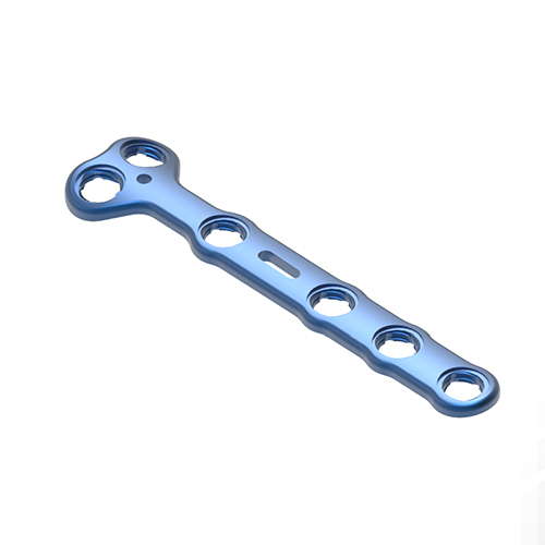 Food Variable Angle Locking Plate