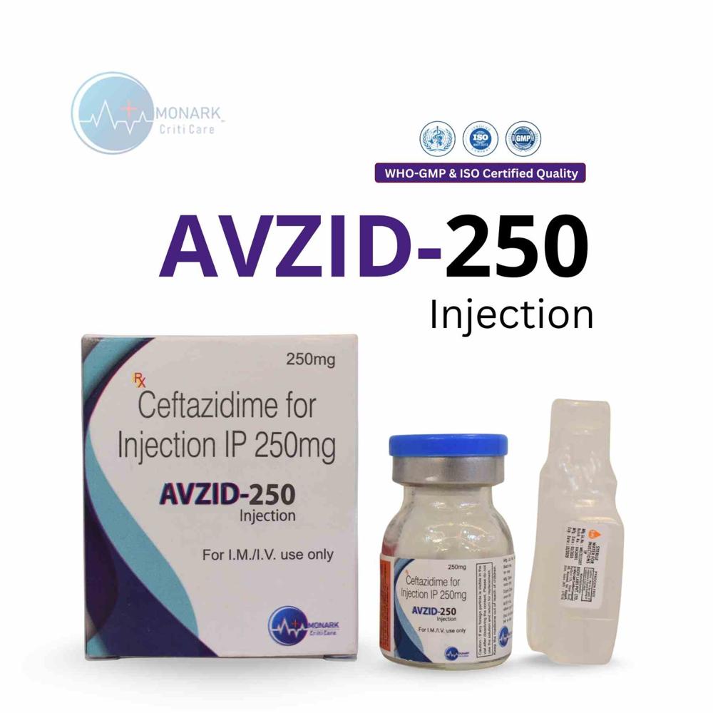 Third Party Manufacturing For Ceftazidime 250Mg Injection - Brand Name: As Per Client Requirement (Third Party)