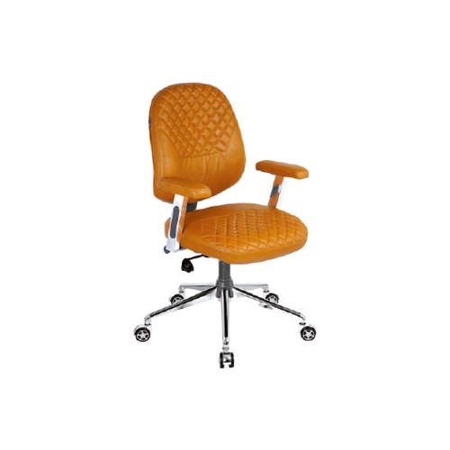 EEZY 313 A Computer Low Back Chair