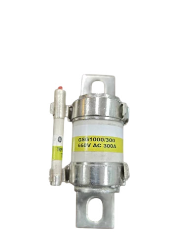 GSG 1000-300A Fuse