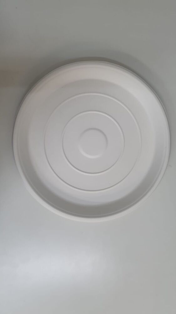 10 inch plain bagasse round plate