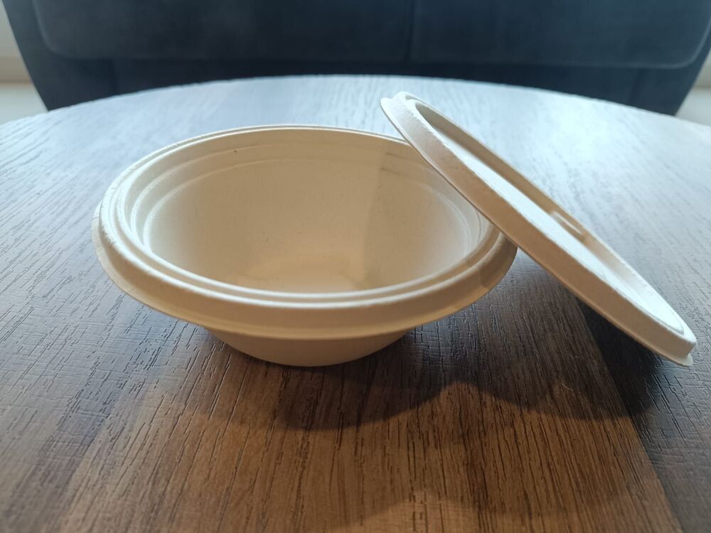 250ml Disposable bagasse bowl with lid