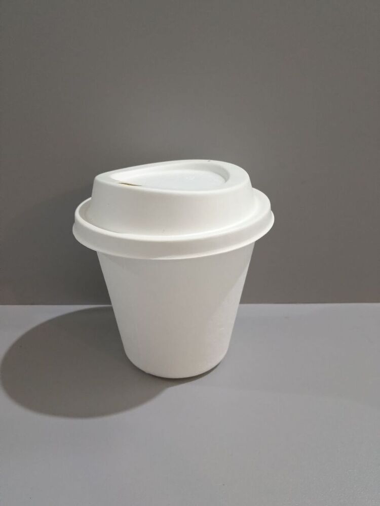 255ml bagasse glasse with lid