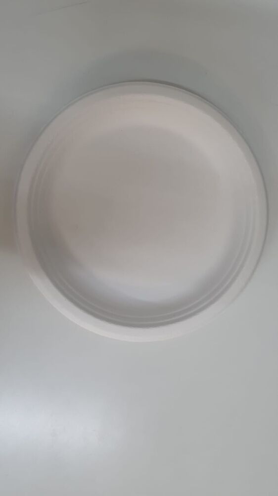 11 inch bagasse round plain plate