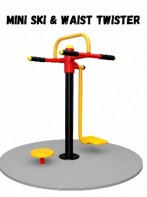 Mini Ski And  Waist Twister