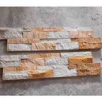 Mint-Teak Pannel Sandstone