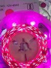 40.40 Led Strip Light Pink