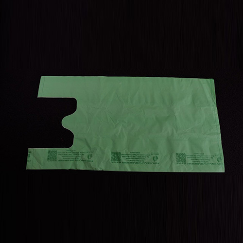 Green Carry Bag