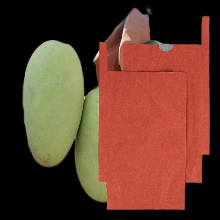 Mango Fruit Protection cover