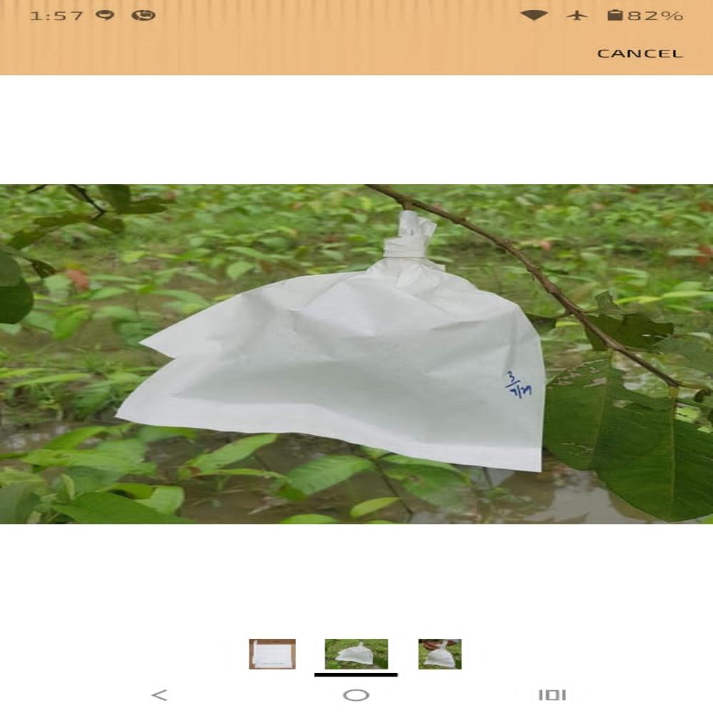 Pomegranate Fruit Protection Cover