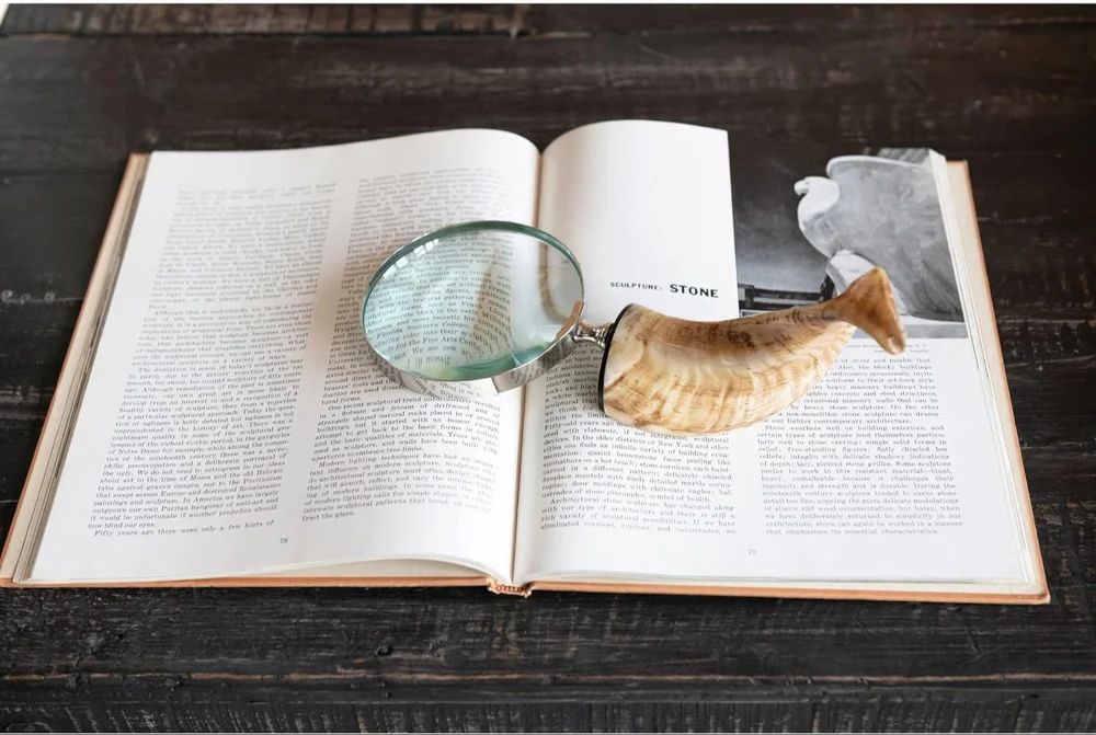 Stainless Steel Horn Handle Magnifying Glass