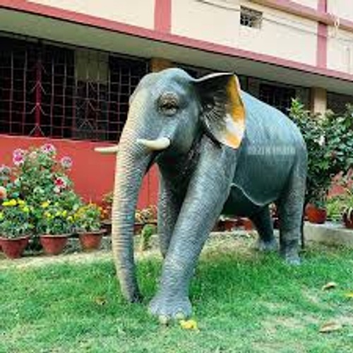 Elephant Statue - Application: Outdoor