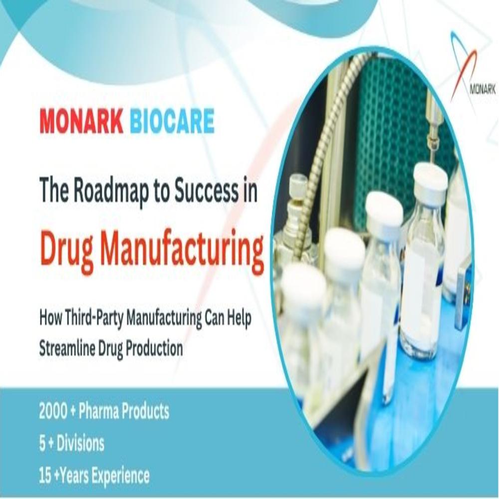 third party pharma manufacturing Punjab