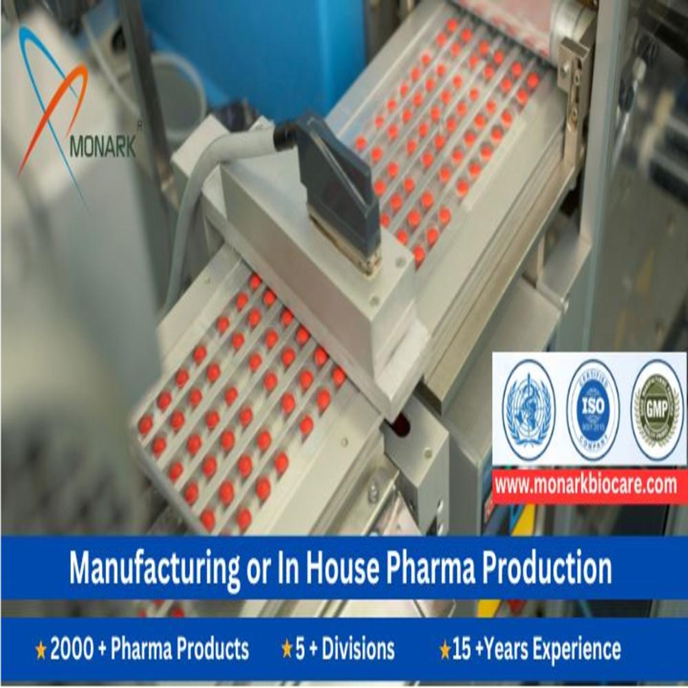 contract manufacturing Ankleshwar