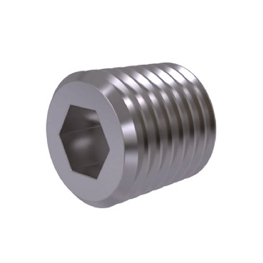 Hexagon Socket Pipe Plug