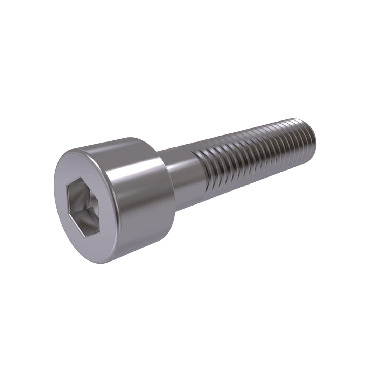 SS Hexagon Socket Head Cap Screw
