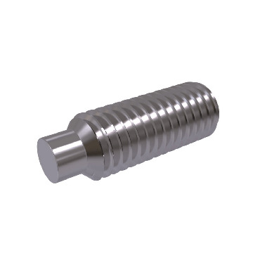 Hexagon Socket Set Screws With Dog Point - Finish: Polished