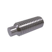 Hexagon Socket Set Screws With Dog Point - Finish: Polished