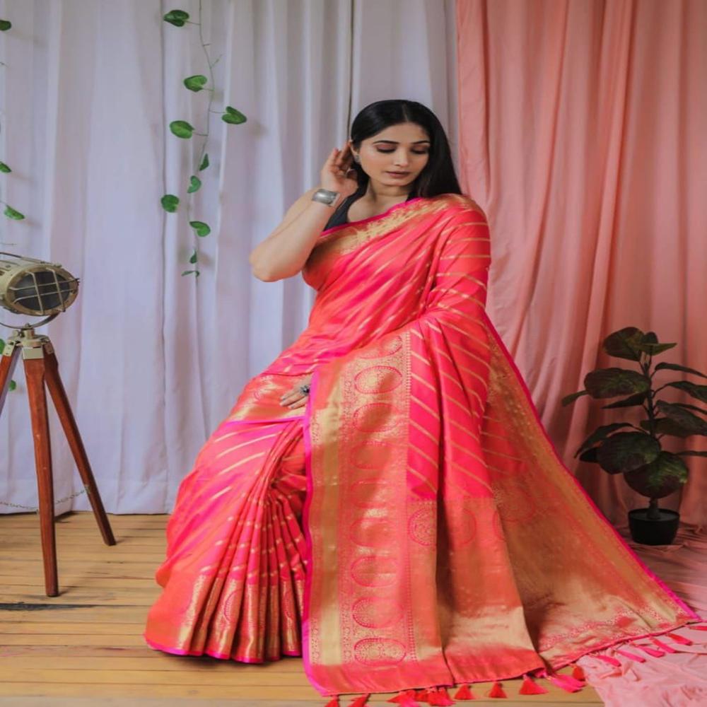 Ladies Saree