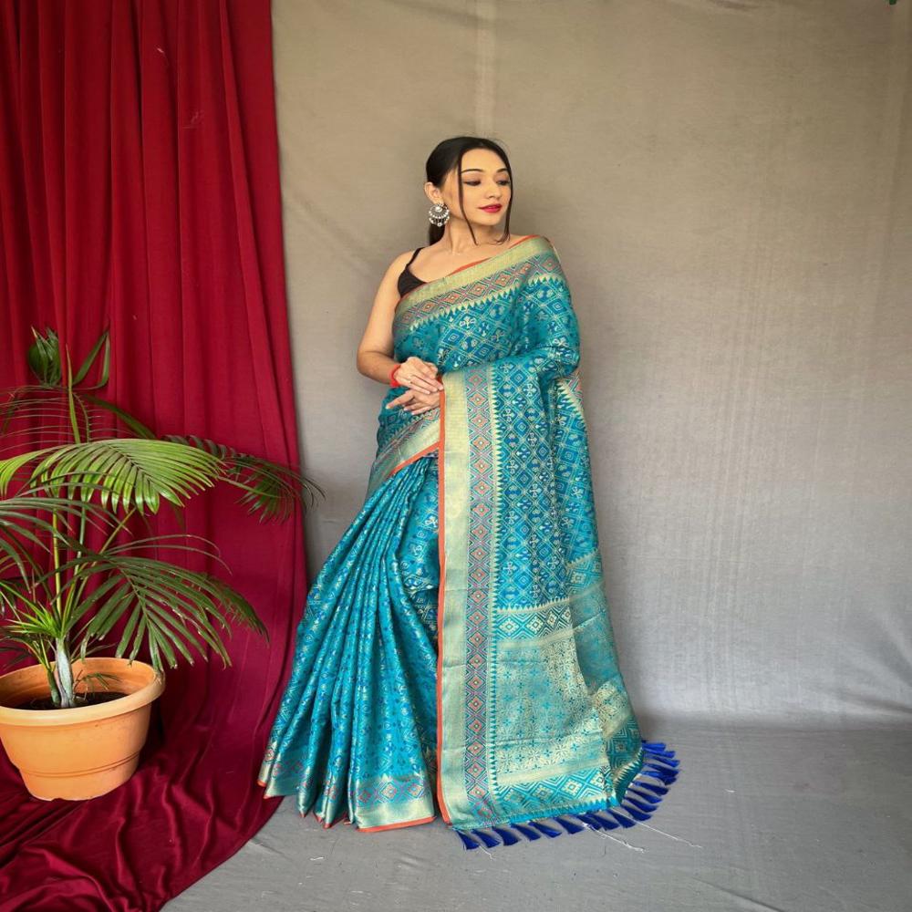 Ladies Saree