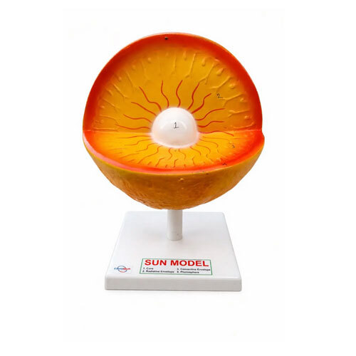 Sun Structure Model