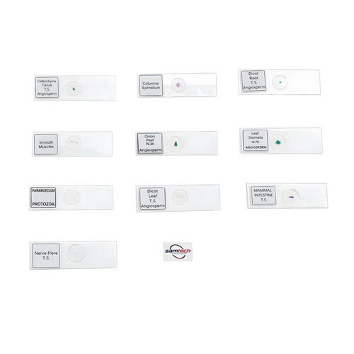 Prepared Slides (Set of 10)