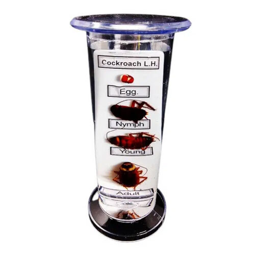 Life History of Specimens