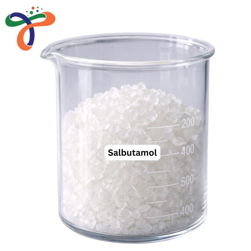 Salbutamol (18559-94-9) (C13H21NO3)