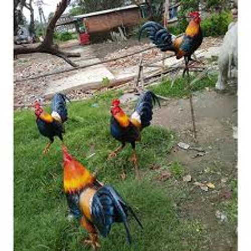 Hen Statue - Thickness: 3 Millimeter (Mm)