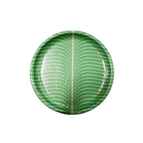 Disposable Plates